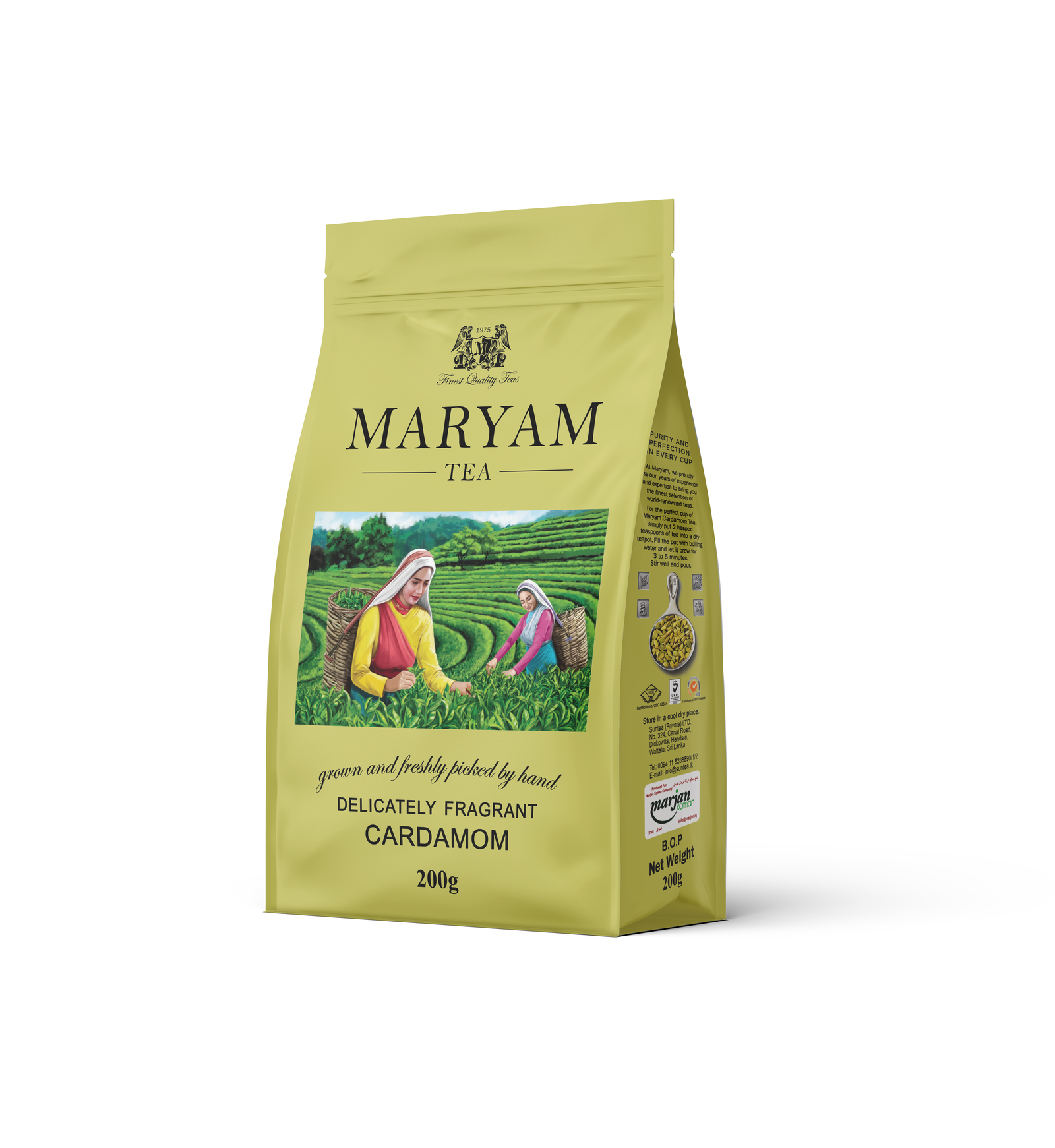 Marjan Xoman Company